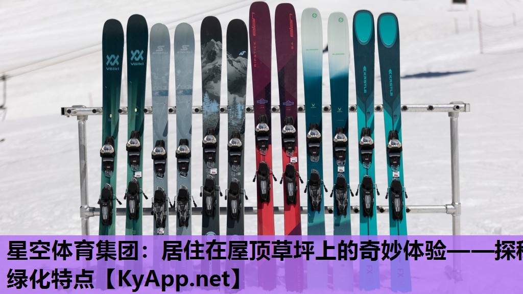 星空体育集团：居住在屋顶草坪上的奇妙体验——探秘绿化特点