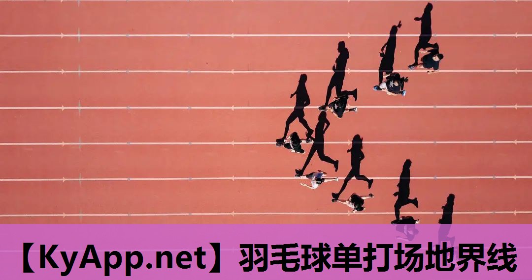 羽毛球单打场地界线