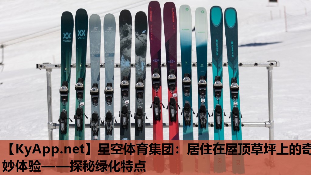 居住在屋顶草坪上的奇妙体验——探秘绿化特点