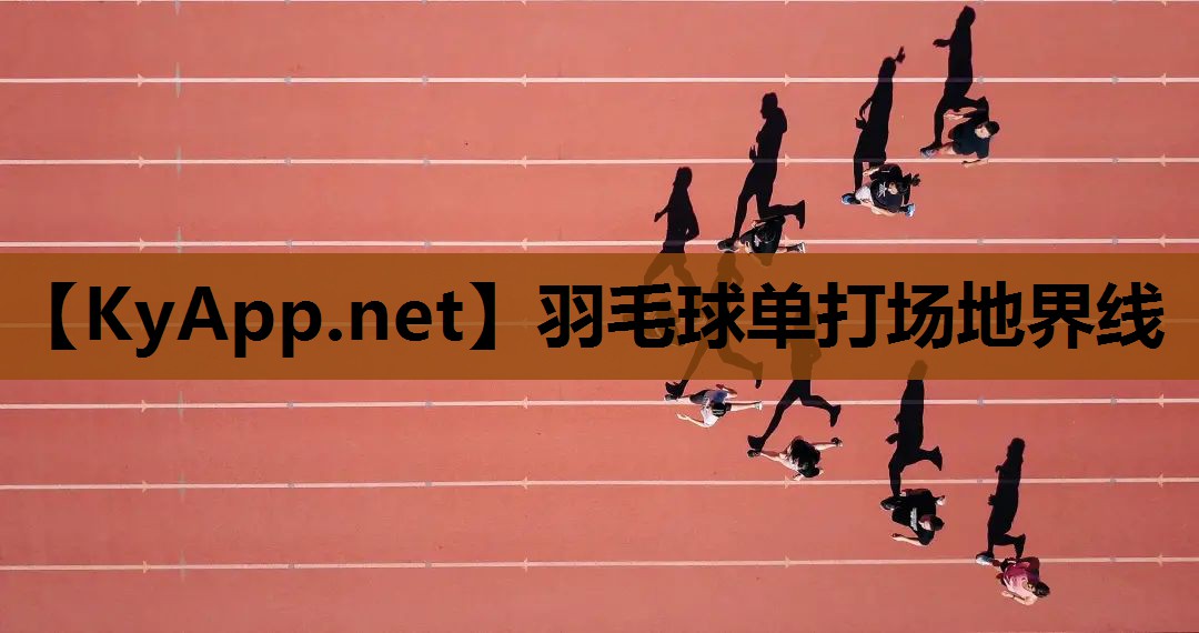 羽毛球单打场地界线