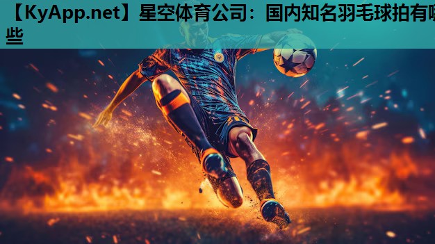 国内知名羽毛球拍有哪些